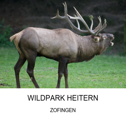 Ausflugsziel: Wildpark Heitern