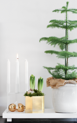 Idées déco de Noël - Green et Minimaliste - Agence Tohana - Ile de la Réunion