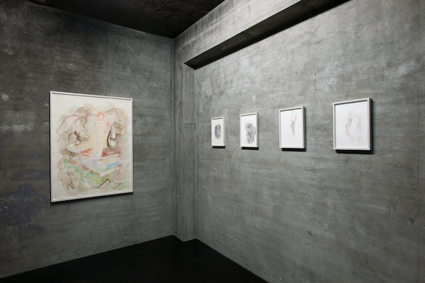 Heidi50, watercolor, pencil on paper, Shinanobashi Gallery, 2005