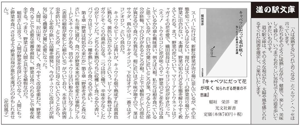 ≪第21号：2008（平成20）年12月≫ キャベツにだって花が咲く　知られざる野菜の不思議 稲垣栄洋（光文社新書）