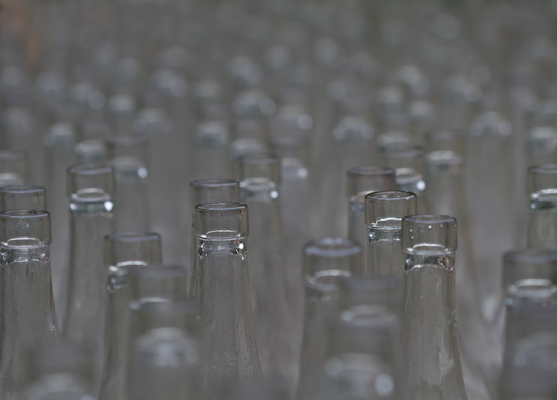Frank N, empty bottles – no wine