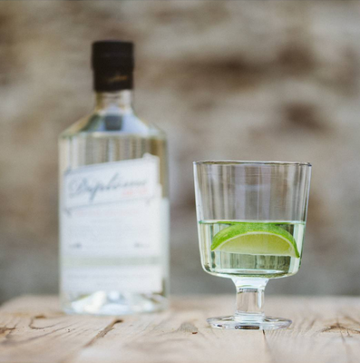 Classic Gin and Tonic with Diplôme Dry Gin