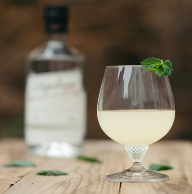Classic Gimlet with Diplome Dry Gin