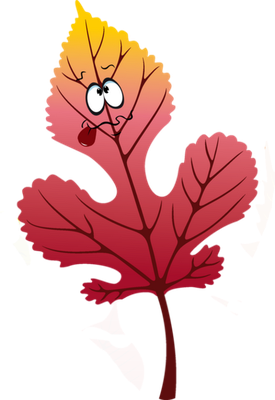 feuille - nature - environnement - smiley émoticône émoji cartoon clipart illustration - artémotic
