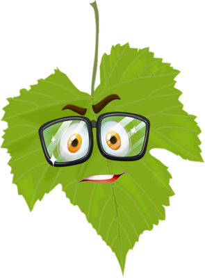 feuille - nature - environnement - smiley émoticône émoji cartoon clipart illustration - artémotic