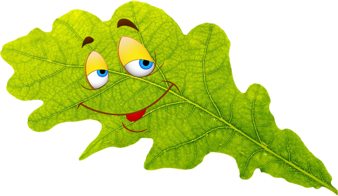 feuille - nature - environnement - smiley émoticône émoji cartoon clipart illustration - artémotic