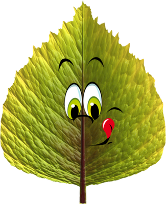 feuille - nature - environnement - smiley émoticône émoji cartoon clipart illustration - artémotic