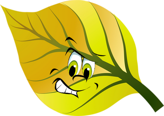 feuille - nature - environnement - smiley émoticône émoji cartoon clipart illustration - artémotic