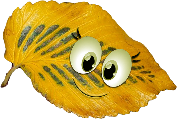 feuille - nature - environnement - smiley émoticône émoji cartoon clipart illustration - artémotic