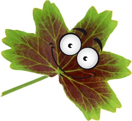 feuille - nature - environnement - smiley émoticône émoji cartoon clipart illustration - artémotic