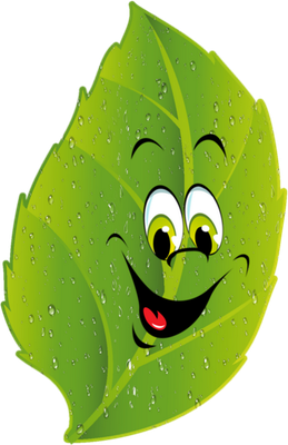 feuille - nature - environnement - smiley émoticône émoji cartoon clipart illustration - artémotic