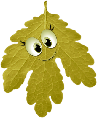 feuille - nature - environnement - smiley émoticône émoji cartoon clipart illustration - artémotic