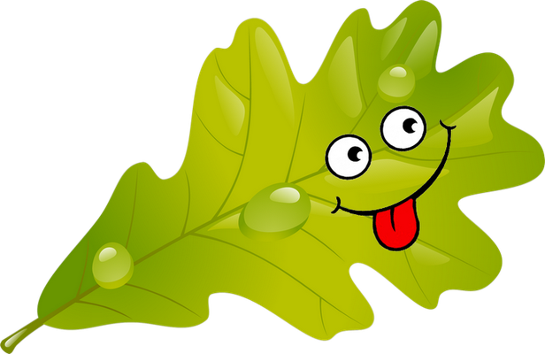 feuille - nature - environnement - smiley émoticône émoji cartoon clipart illustration - artémotic