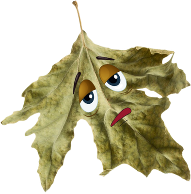 feuille - nature - environnement - smiley émoticône émoji cartoon clipart illustration - artémotic