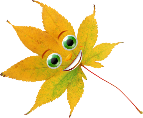 feuille - nature - environnement - smiley émoticône émoji cartoon clipart illustration - artémotic