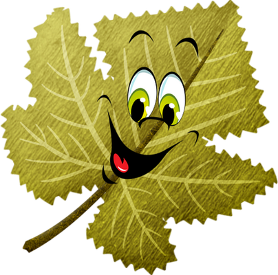 feuille - nature - environnement - smiley émoticône émoji cartoon clipart illustration - artémotic