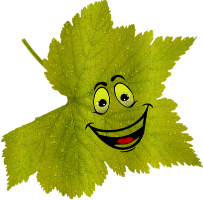 feuille - nature - environnement - smiley émoticône émoji cartoon clipart illustration - artémotic
