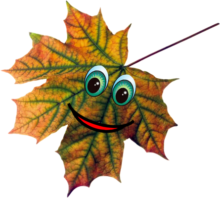 feuille - nature - environnement - smiley émoticône émoji cartoon clipart illustration - artémotic