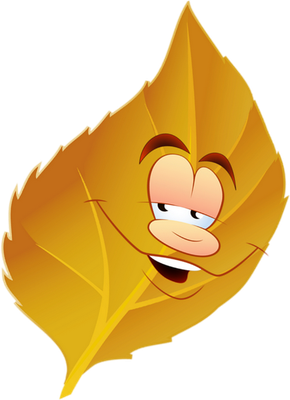 feuille - nature - environnement - smiley émoticône émoji cartoon clipart illustration - artémotic