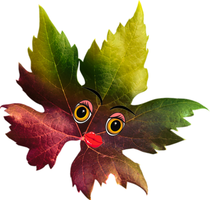 feuille - nature - environnement - smiley émoticône émoji cartoon clipart illustration - artémotic