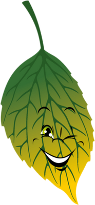 feuille - nature - environnement - smiley émoticône émoji cartoon clipart illustration - artémotic