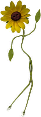 fleur - nature - environnement - smiley émoticône émoji cartoon clipart illustration - artémotic