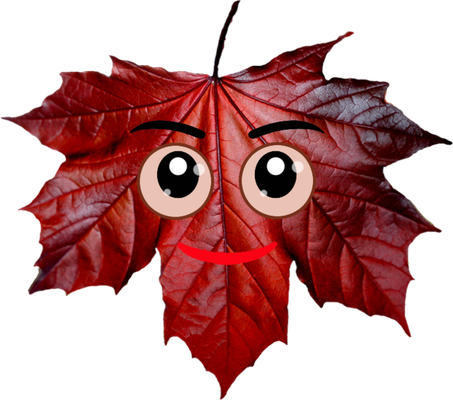 feuille - nature - environnement - smiley émoticône émoji cartoon clipart illustration - artémotic
