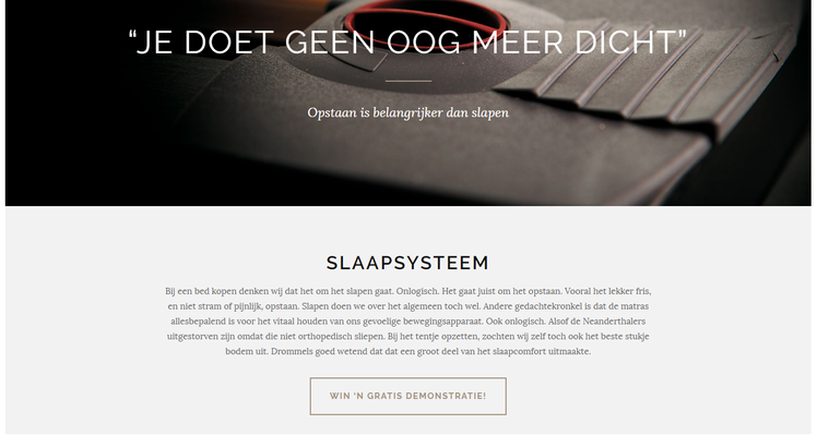 Voorbeeld business-site. Design en bouw Martijnjoosten.nl - tekst Siert Hoeksema