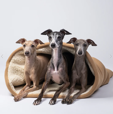 Wellsoft Schlafsack für Iggys von Karma Hund
