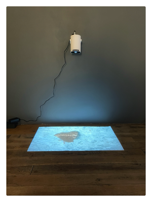 Crépuscule (Le papillon Petite tortue) / 2025 / Mini vidéo projecteur, vidéo MP4, couleur, muet / 10'07 / Projection au sol, diffusion en boucle