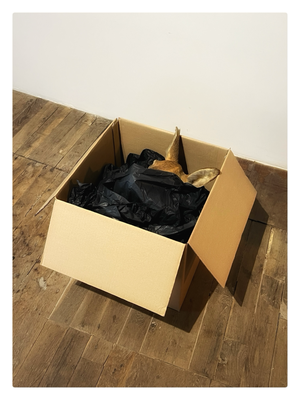 Hallali / 2026 / Taxidermie de bichette, carton d'emballage, papier de soie, haut-parleur, bande-son / 40x40x40 cm / Diffusion en continu