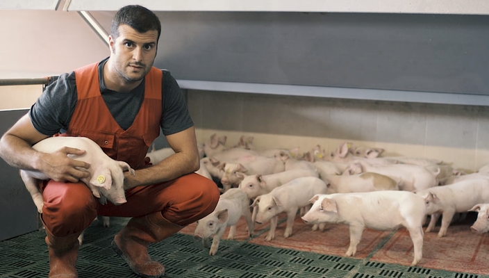 5 PRINCIPLES 5 FREEDOMS - Bienestar Animal Certificado IAWS 5 PRINCIPLES 5 FREEDOMS - Bienestar Animal Certificado IAWS