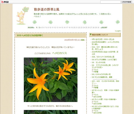 散歩道の野草と風