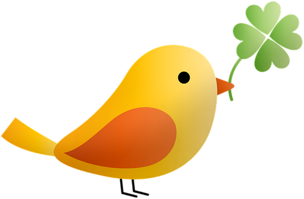 oiseau divers - animaux - smiley émoticône émoji cartoon clipart illustration - artémotic