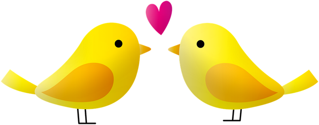 oiseau divers - animaux - smiley émoticône émoji cartoon clipart illustration - artémotic