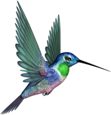 colibri - oiseau - animaux - smiley émoticône émoji cartoon clipart illustration - artémotic