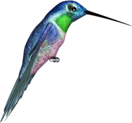colibri - oiseau - animaux - smiley émoticône émoji cartoon clipart illustration - artémotic