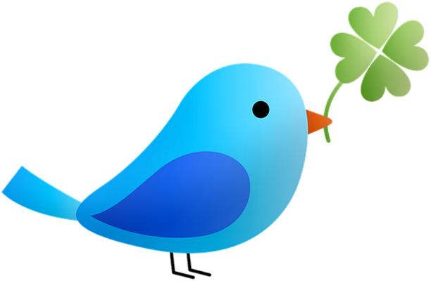 oiseau divers - animaux - smiley émoticône émoji cartoon clipart illustration - artémotic