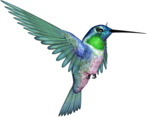 colibri - oiseau - animaux - smiley émoticône émoji cartoon clipart illustration - artémotic