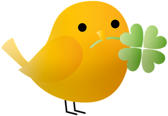 oiseau divers - animaux - smiley émoticône émoji cartoon clipart illustration - artémotic