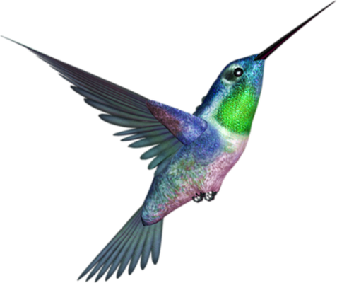 colibri - oiseau - animaux - smiley émoticône émoji cartoon clipart illustration - artémotic