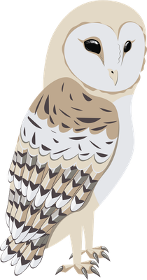 chouette - oiseau - animaux - smiley émoticône émoji cartoon clipart illustration - artémotic