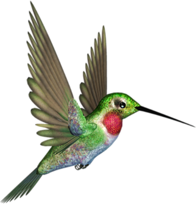 colibri - oiseau - animaux - smiley émoticône émoji cartoon clipart illustration - artémotic
