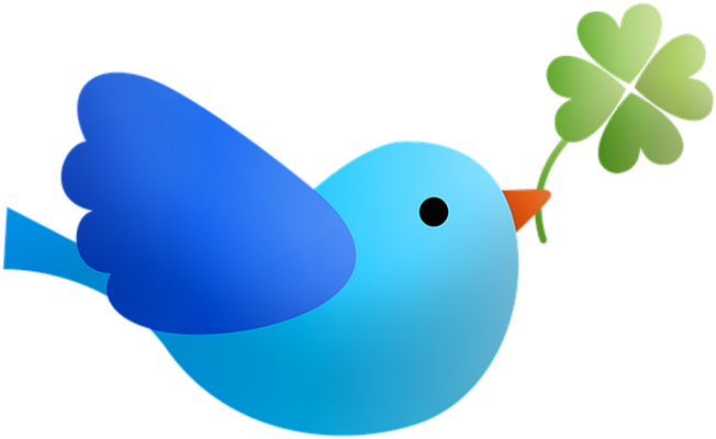 oiseau divers - animaux - smiley émoticône émoji cartoon clipart illustration - artémotic