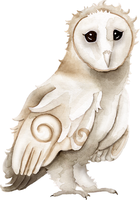 chouette - oiseau - animaux - smiley émoticône émoji cartoon clipart illustration - artémotic