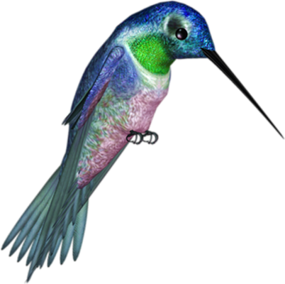 colibri - oiseau - animaux - smiley émoticône émoji cartoon clipart illustration - artémotic