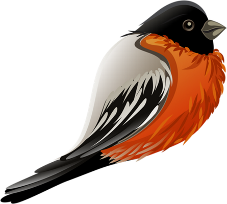 rouge-gorge - oiseau - animaux - smiley émoticône émoji cartoon clipart illustration - artémotic
