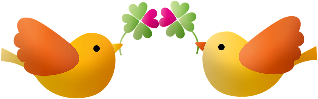 oiseau divers - animaux - smiley émoticône émoji cartoon clipart illustration - artémotic