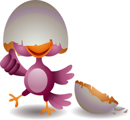 oiseau divers - animaux - smiley émoticône émoji cartoon clipart illustration - artémotic