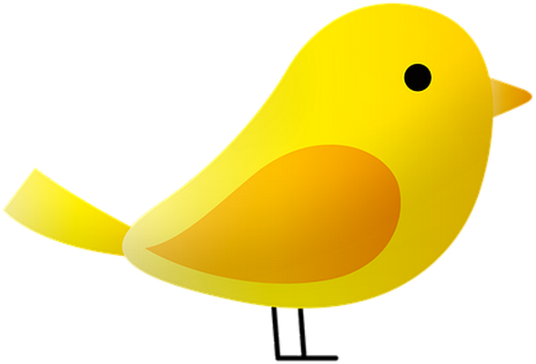 oiseau divers - animaux - smiley émoticône émoji cartoon clipart illustration - artémotic